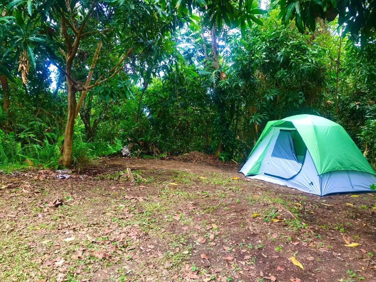 Jubilee Campsite Swim & Paint Las Piedras Екстериор снимка